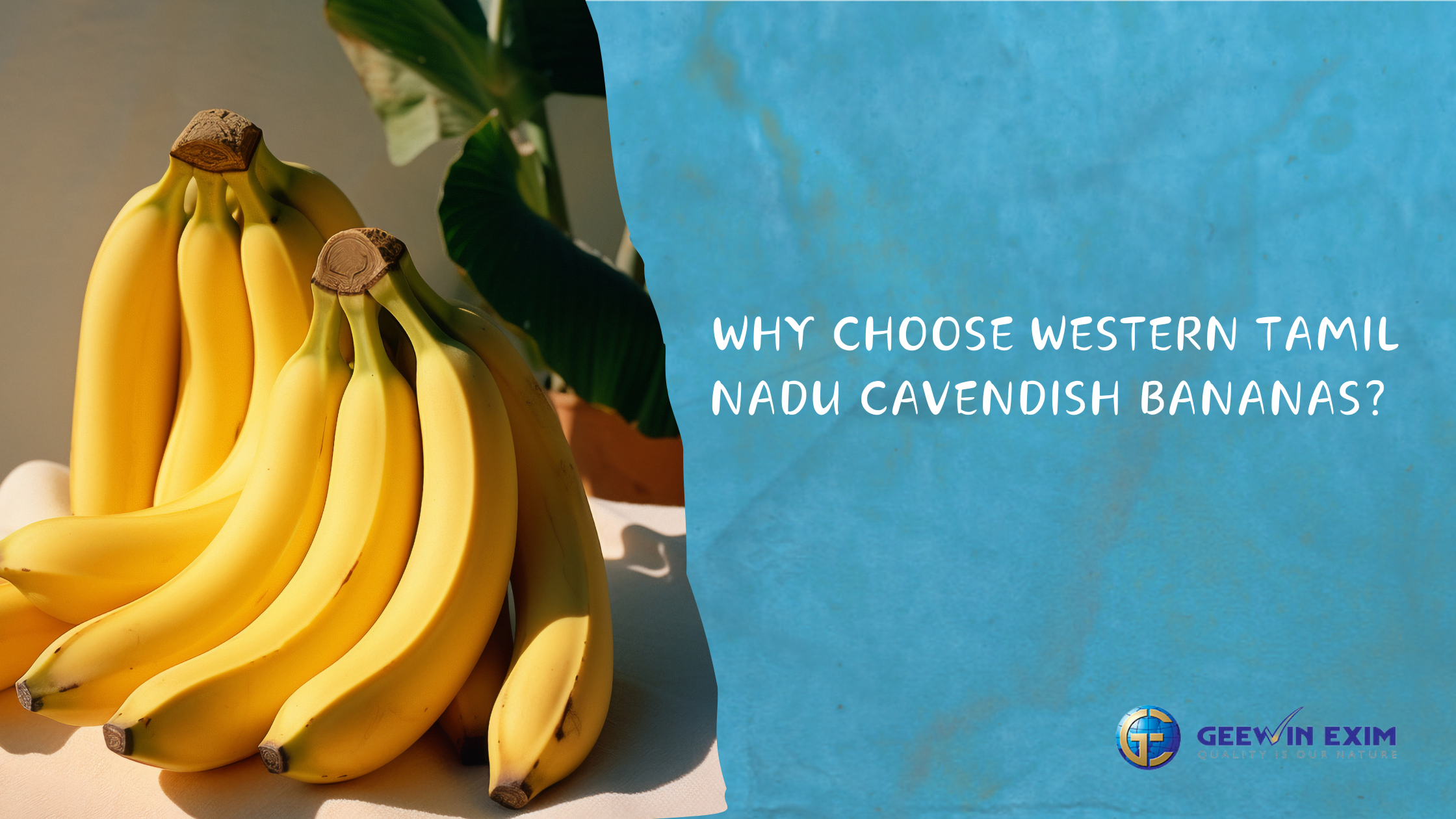 5 Reasons to Choose Western Tamil Nadu Cavendish Bananas