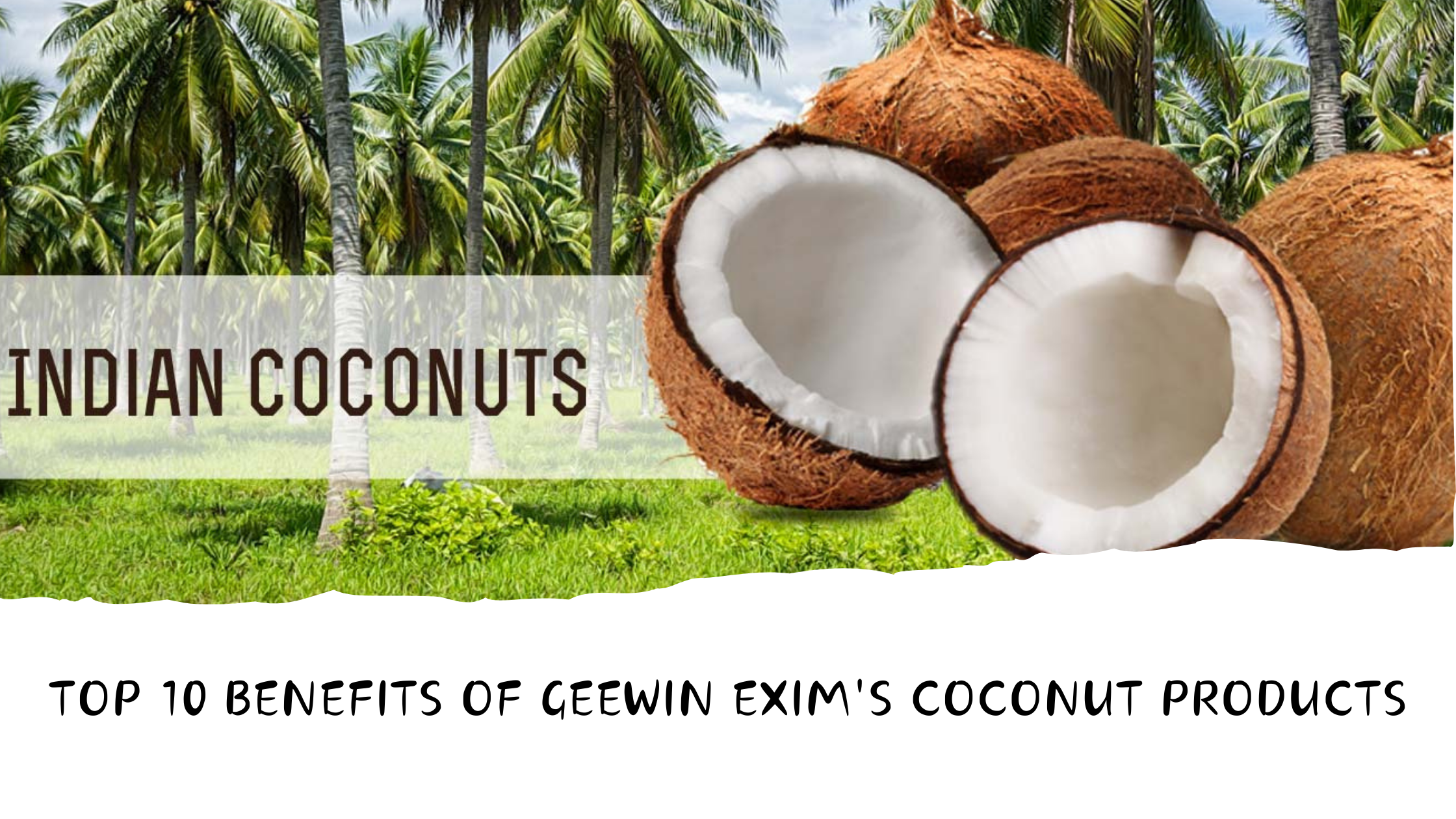 Top 10 Benefits of Using Coconut Products from Geewin Exim